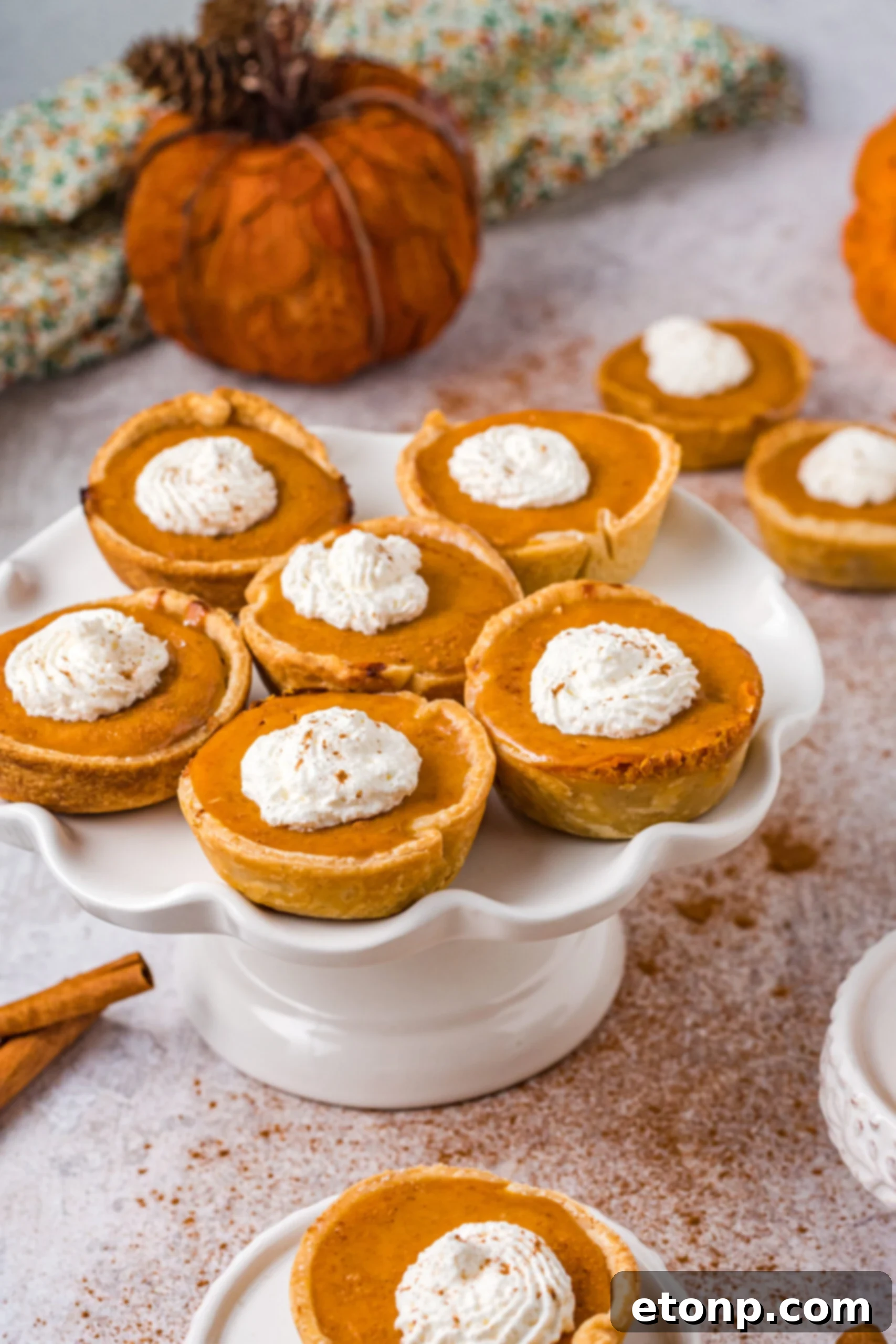 Mini Pumpkin Pies on a white cake stand all topped with dollops of whipped cream 