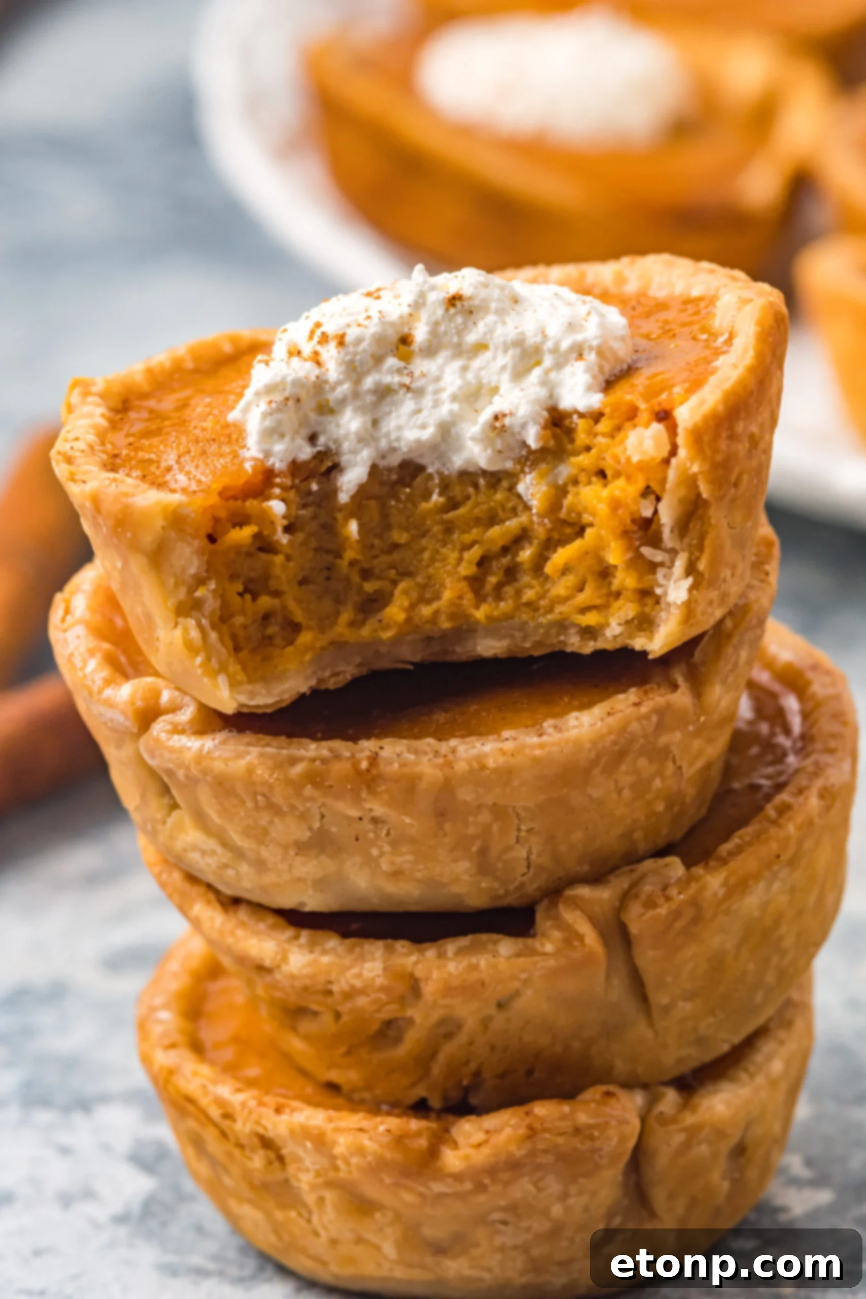 Mini Pumpkin Pies up close bite shot showing the pie texture