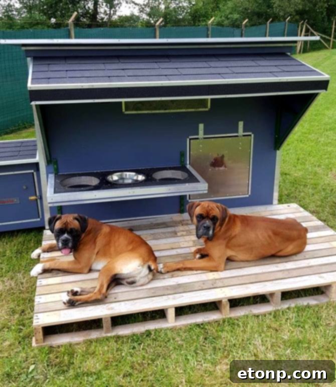 Craft Your Dream Home with Pallet DIY 11 Functional Pallet Dog House and Feeding Station, a perfect pet project