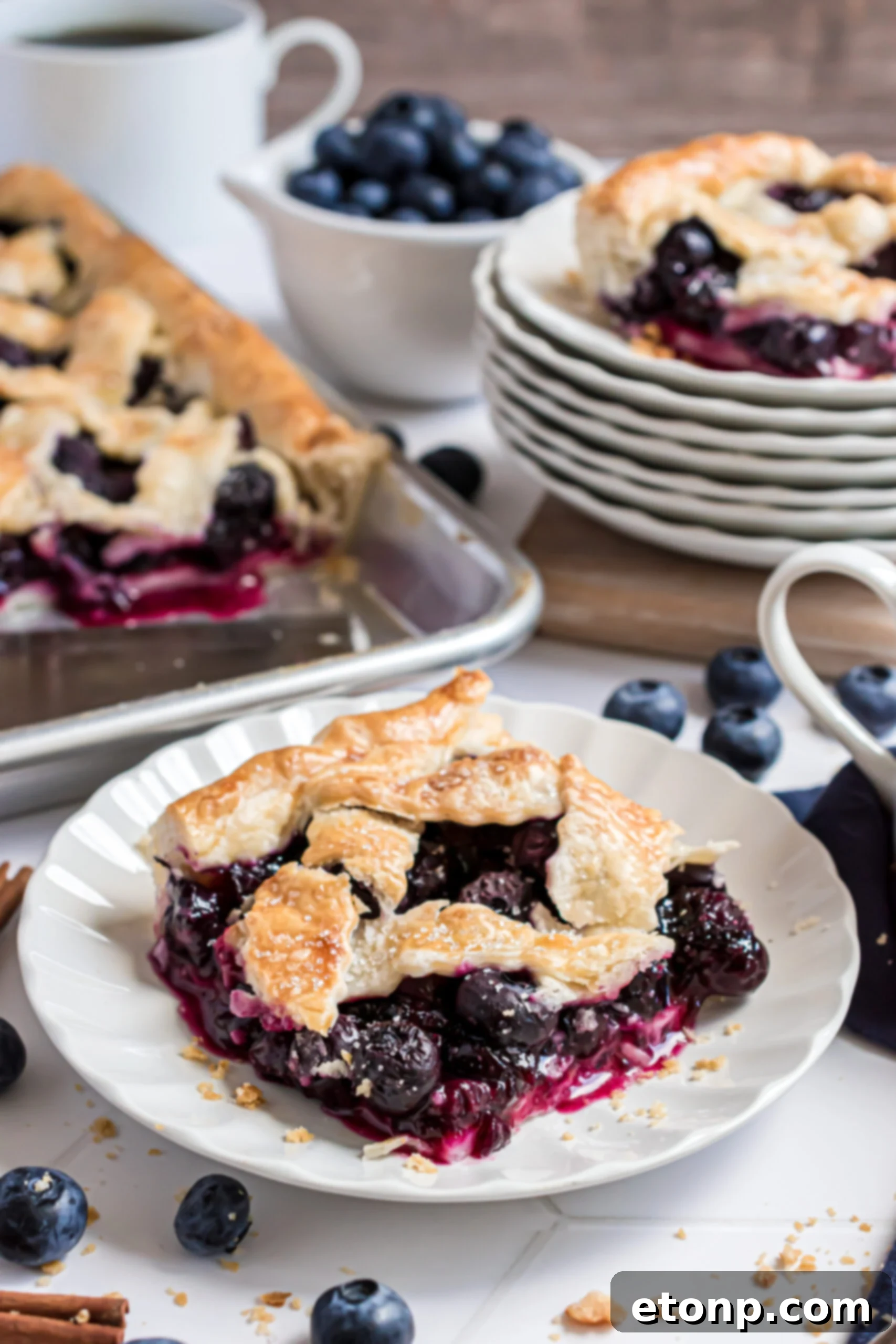 A generous slice of golden-crusted Blueberry Slab Pie on a white plate, garnished with fresh blueberries and cinnamon sticks in the soft-focus background.