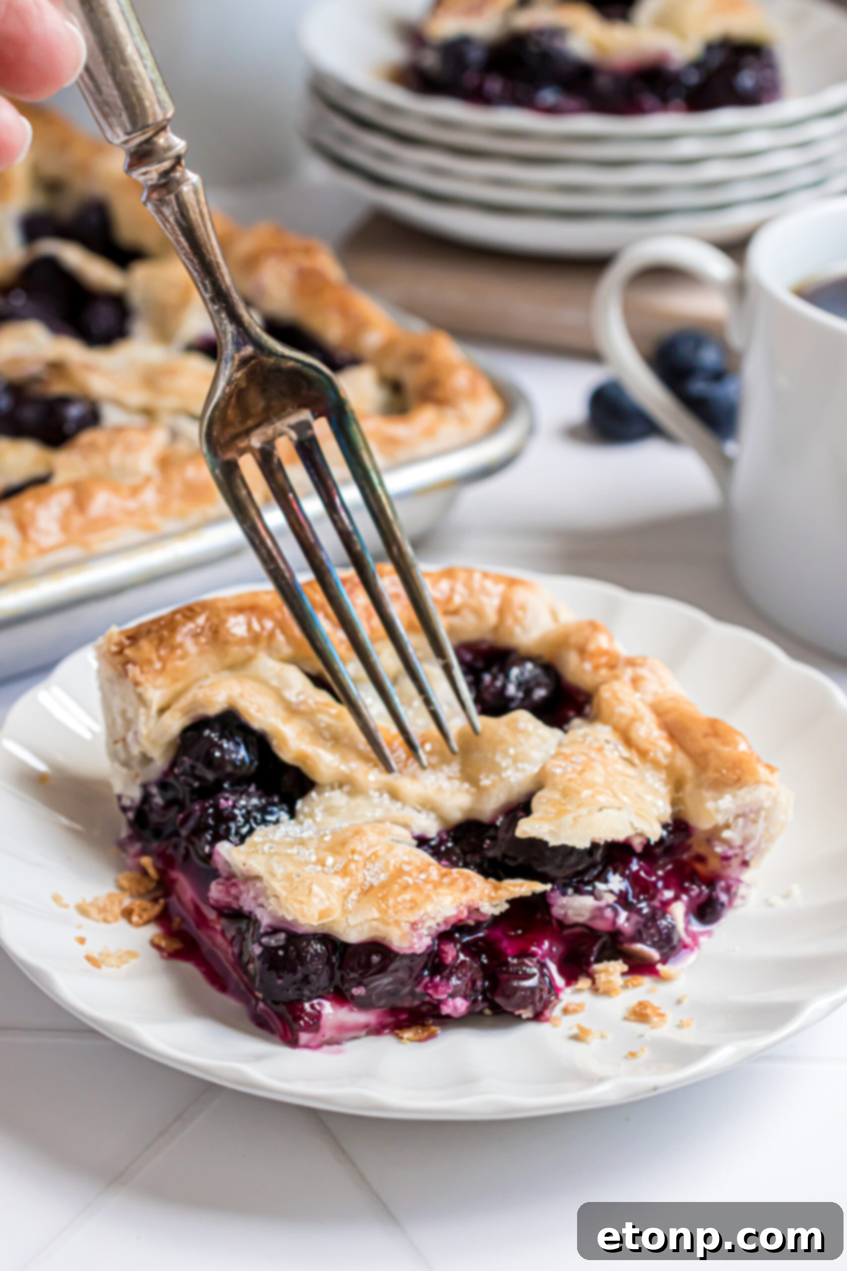 A beautiful, individual slice of Blueberry Slab Pie presented on a white plate, with fresh blueberries and decorative cinnamon sticks artfully arranged in the background.
