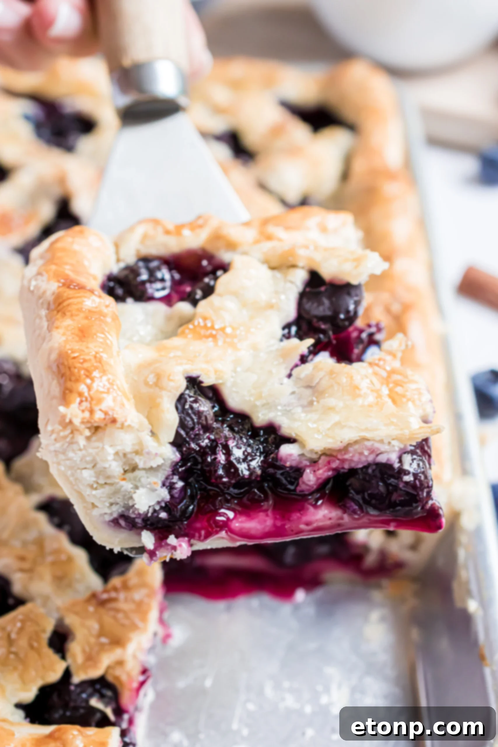 Another view of a golden-brown slice of blueberry pie with a perfect crust being carefully lifted from the baking pan with a silver and wooden spatula, ready to be served.