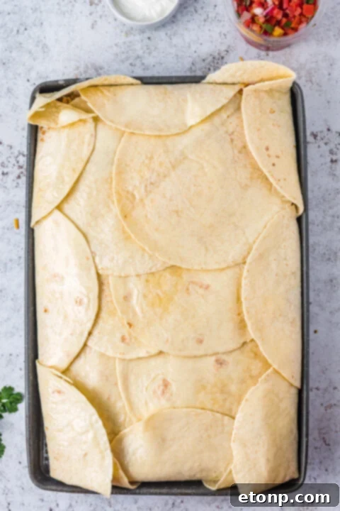 A serving of sheet pan tacos on a plate.