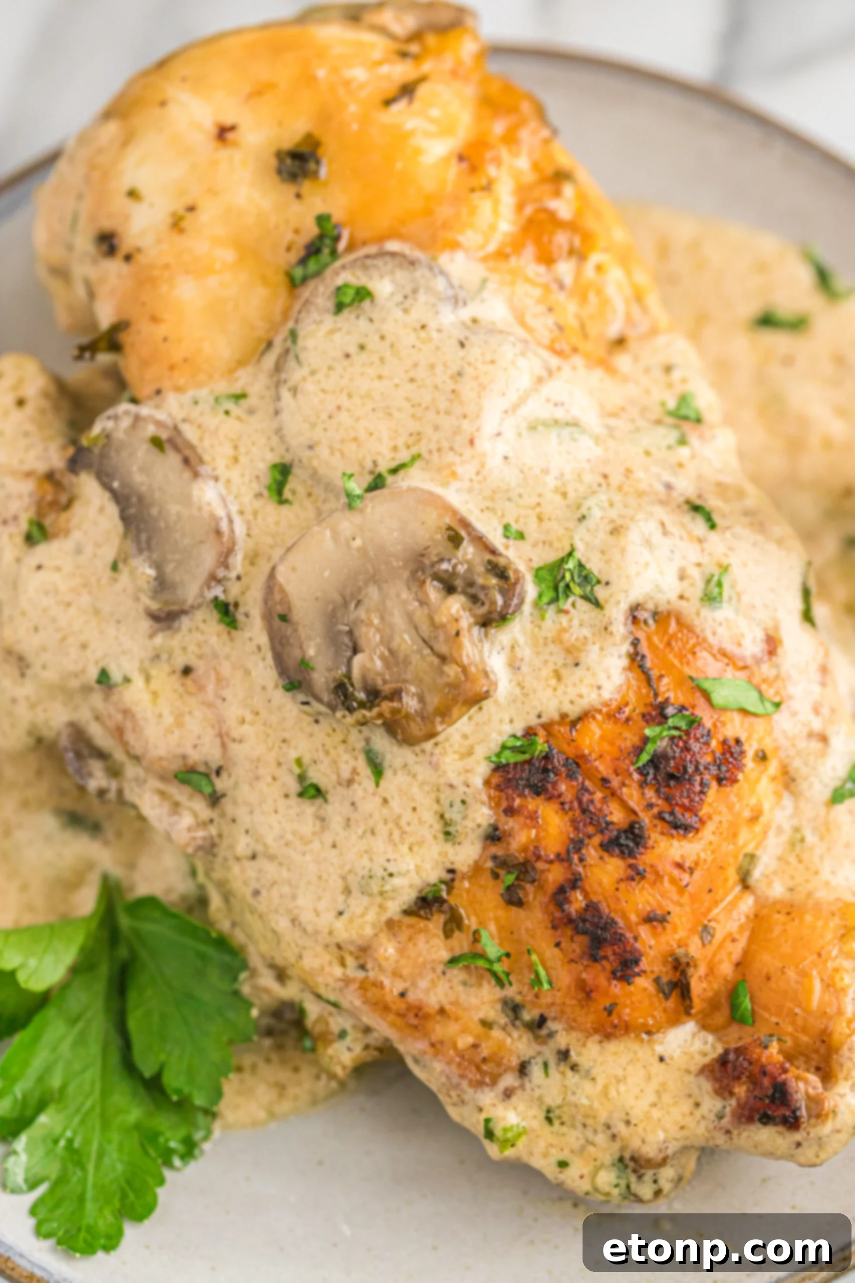 A piece of chicken on a plate covered in cream sauce.