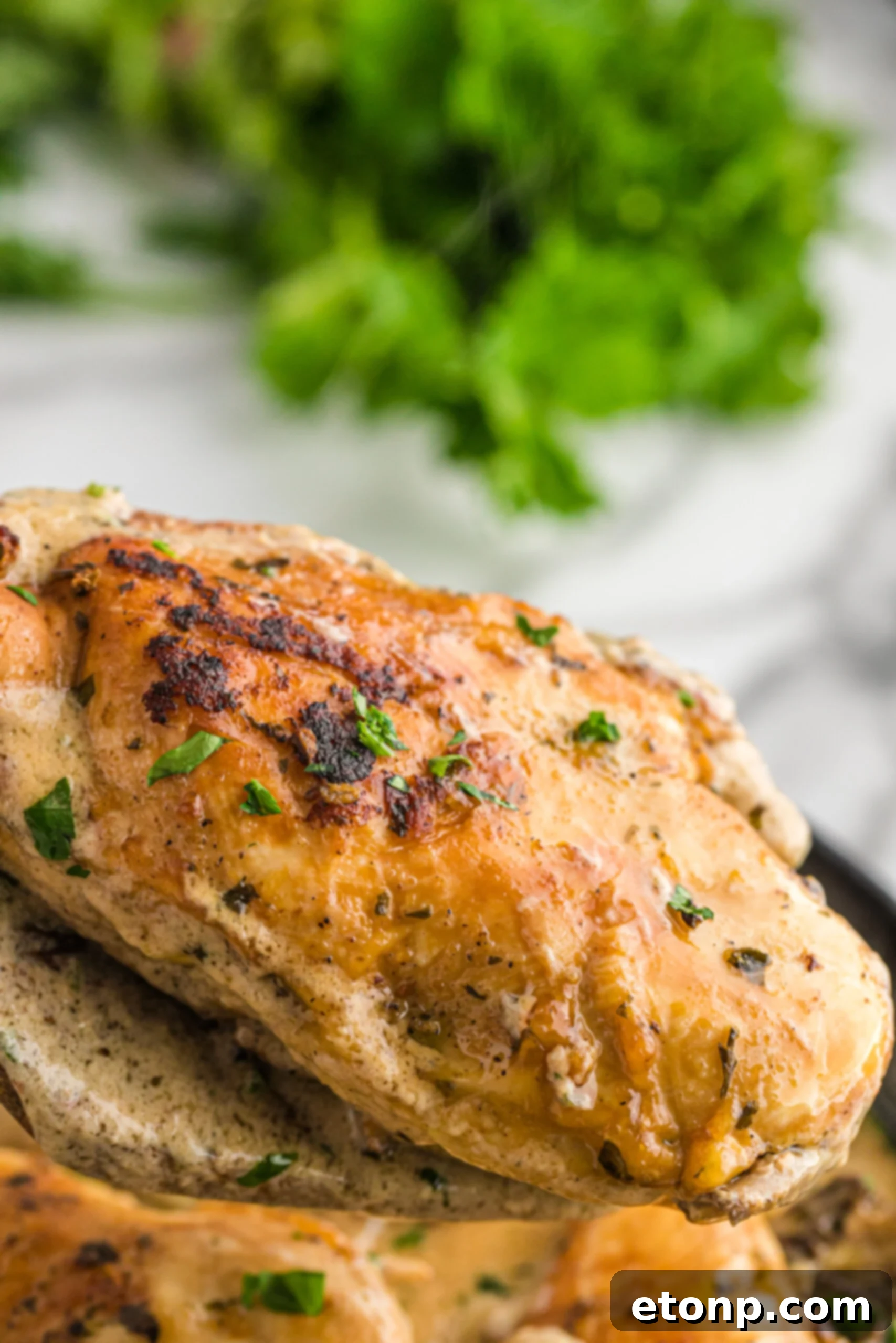 A piece of chicken being removed from the cast iron skillet using a wooden spatula. 