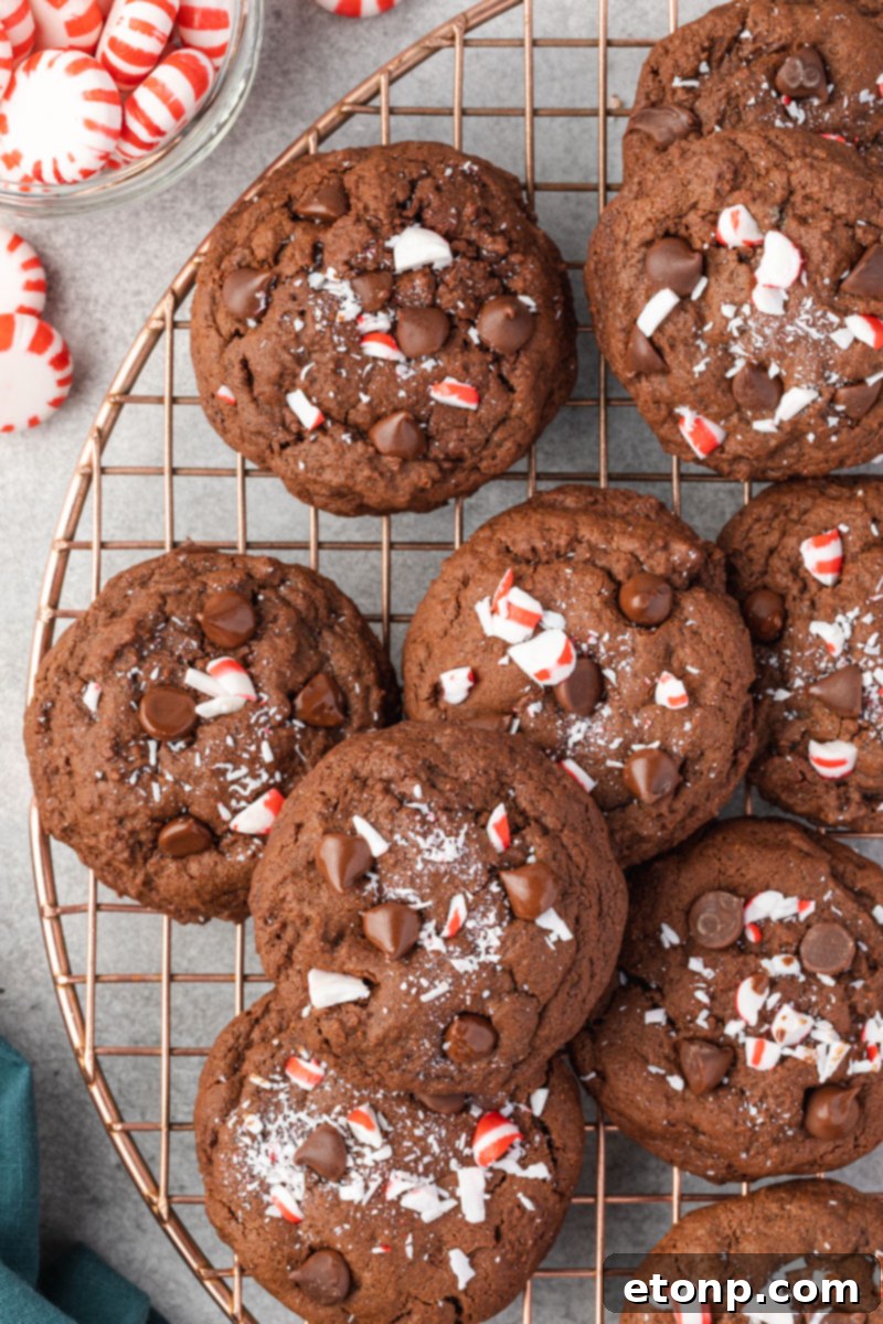 Stacked Chocolate Peppermint Cookies on a rose gold cooling rack, showcasing their rich color and festive topping.