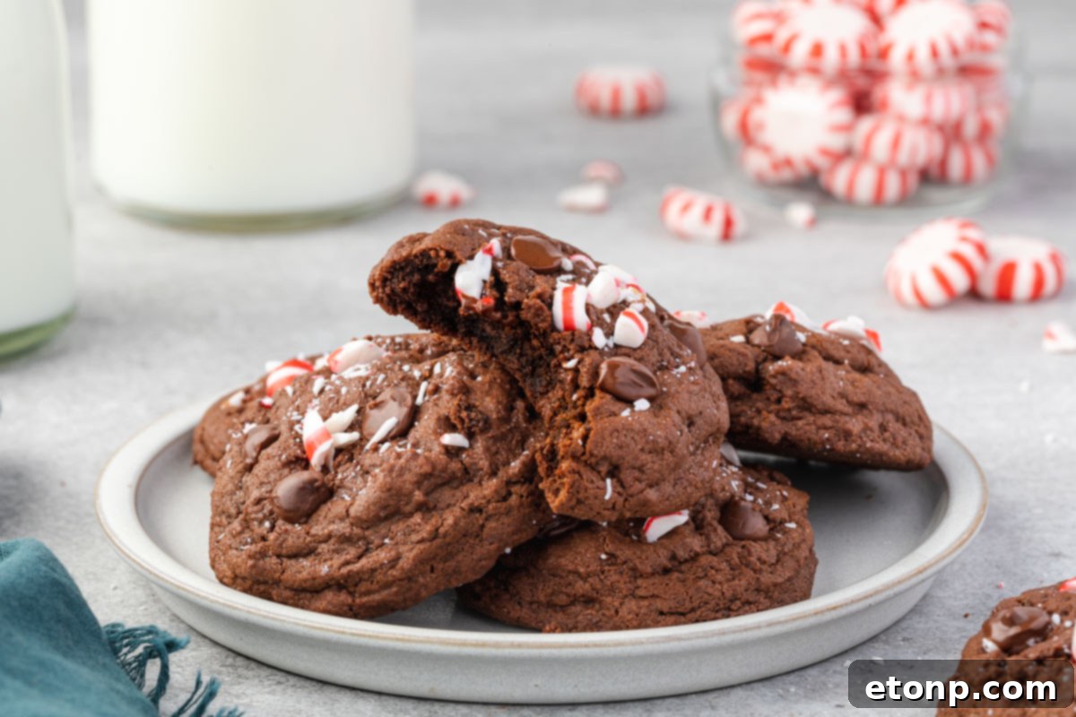 A festive stack of Chocolate Peppermint Cookies on a white plate, with a bite revealing the soft, chocolatey interior, capturing the holiday spirit.