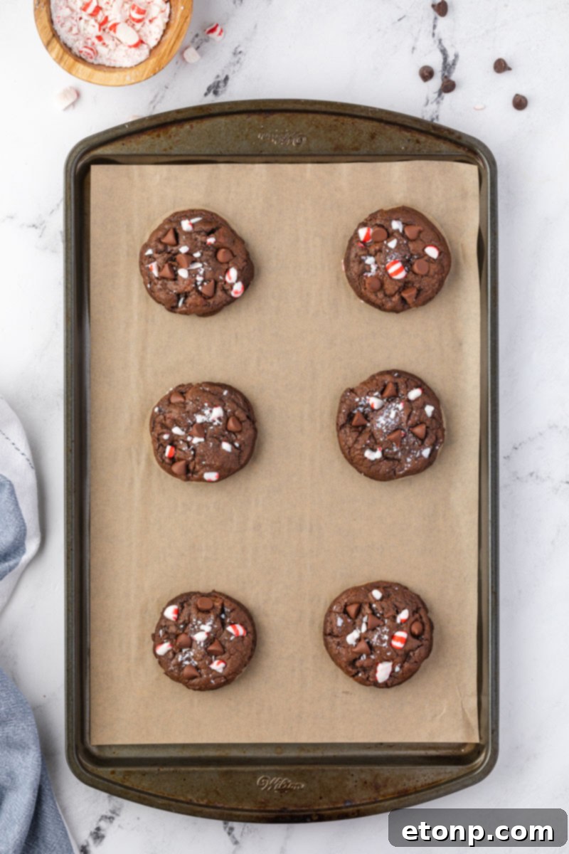 Another overhead view of the irresistible Chocolate Peppermint Cookies after baking, topped with vibrant crushed candy canes.
