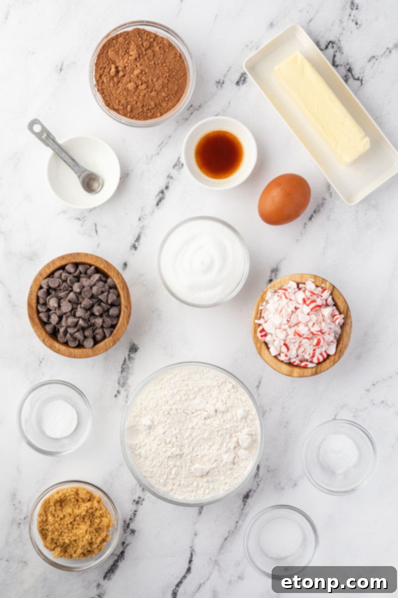 Overhead shot of all the carefully measured ingredients for Chocolate Peppermint Cookies laid out, ready for mixing.