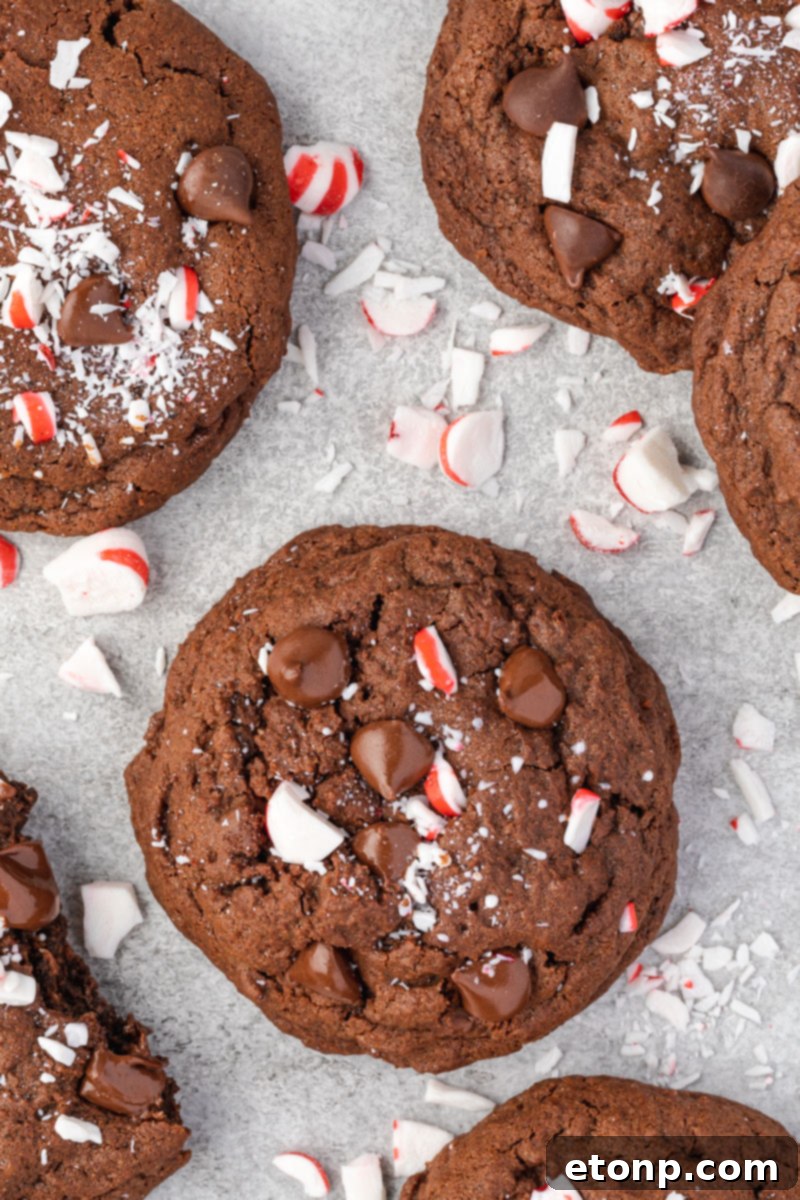 Close-up overhead shot of a single Chocolate Peppermint Cookie, adorned with melted chocolate chips and sparkling crushed peppermint pieces.