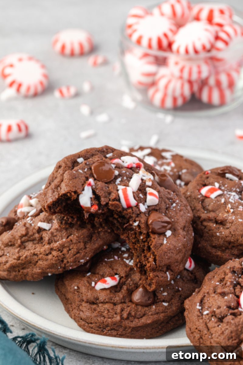 Double Chocolate Peppermint Cookies arranged on a white plate, with a festive jar of peppermint candies blurred in the background, creating a cozy holiday scene.