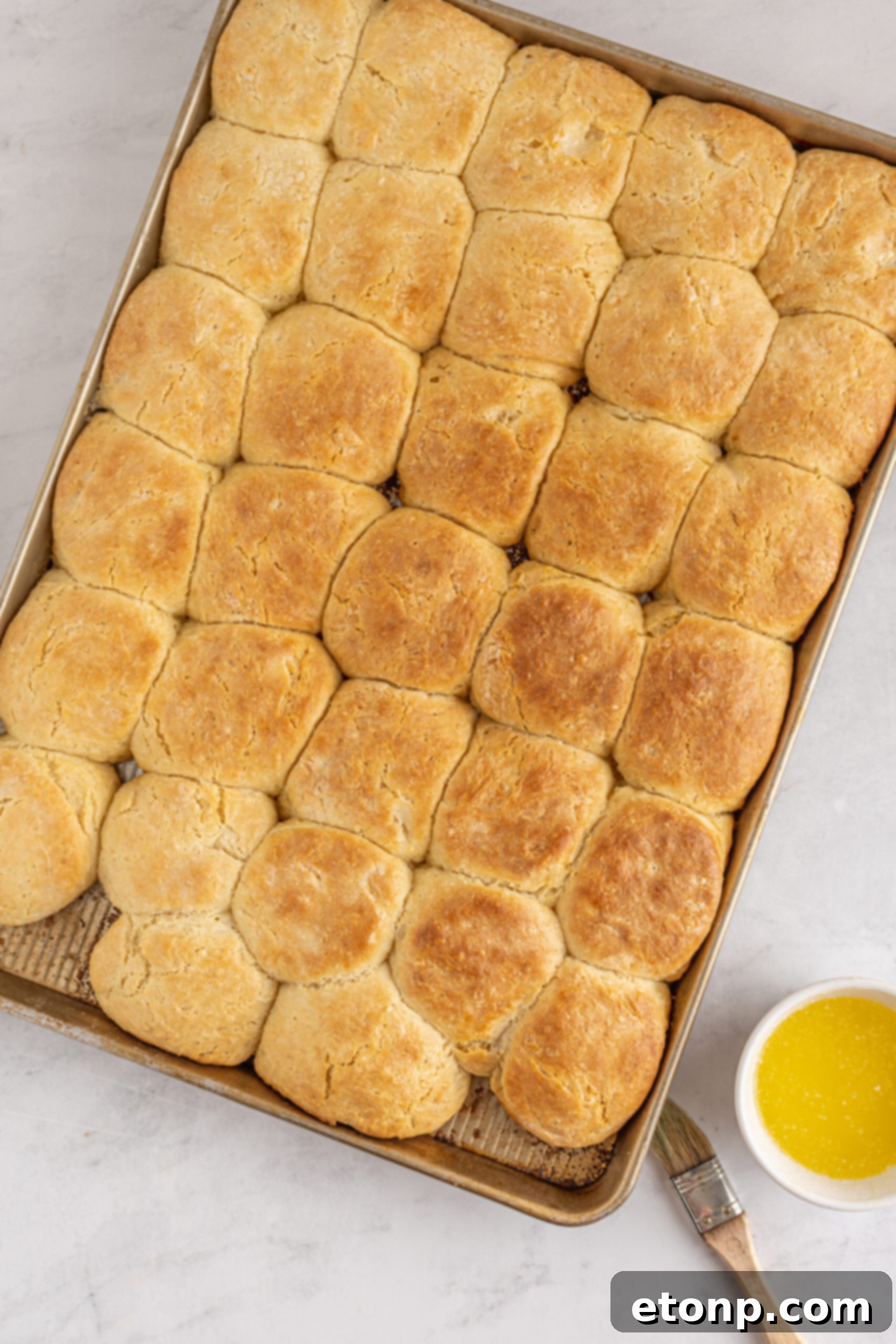 Overhead shot of the finished biscuits in the baking pan. 