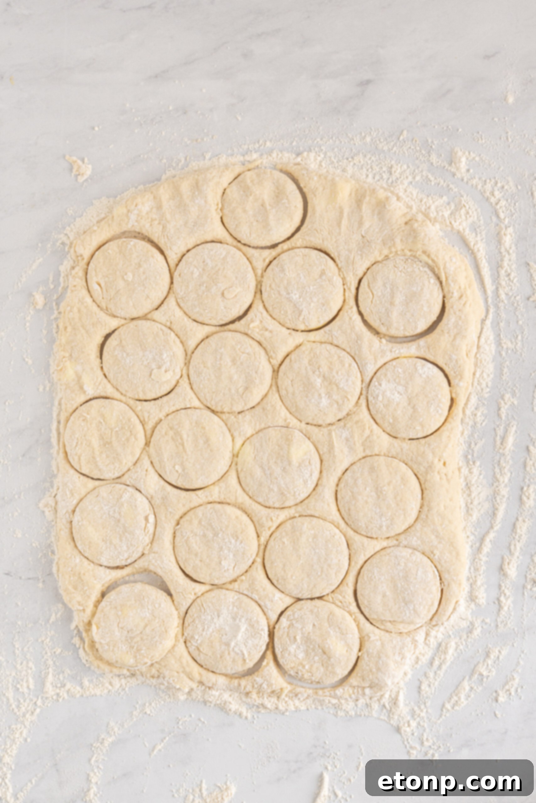 Overhead shot of the cut dough ready to be baked. 