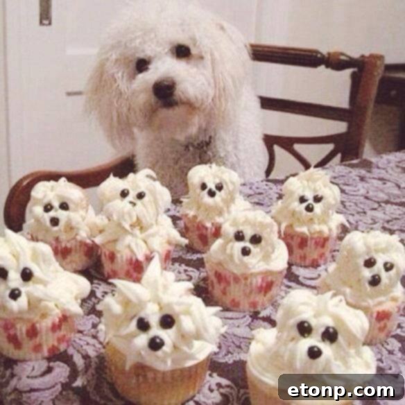 Simple and fun dog cupcakes with fluffy frosting and candy decorations, suitable for any dog lover's celebration.