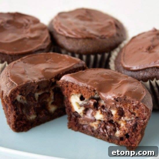 Decadent chocolate cupcakes filled with creamy cheesecake, topped with chocolate ganache and sprinkles.