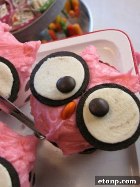 Charming owl cupcakes made with oreo cookies for eyes and candy corn beaks, ideal for fall or themed events.