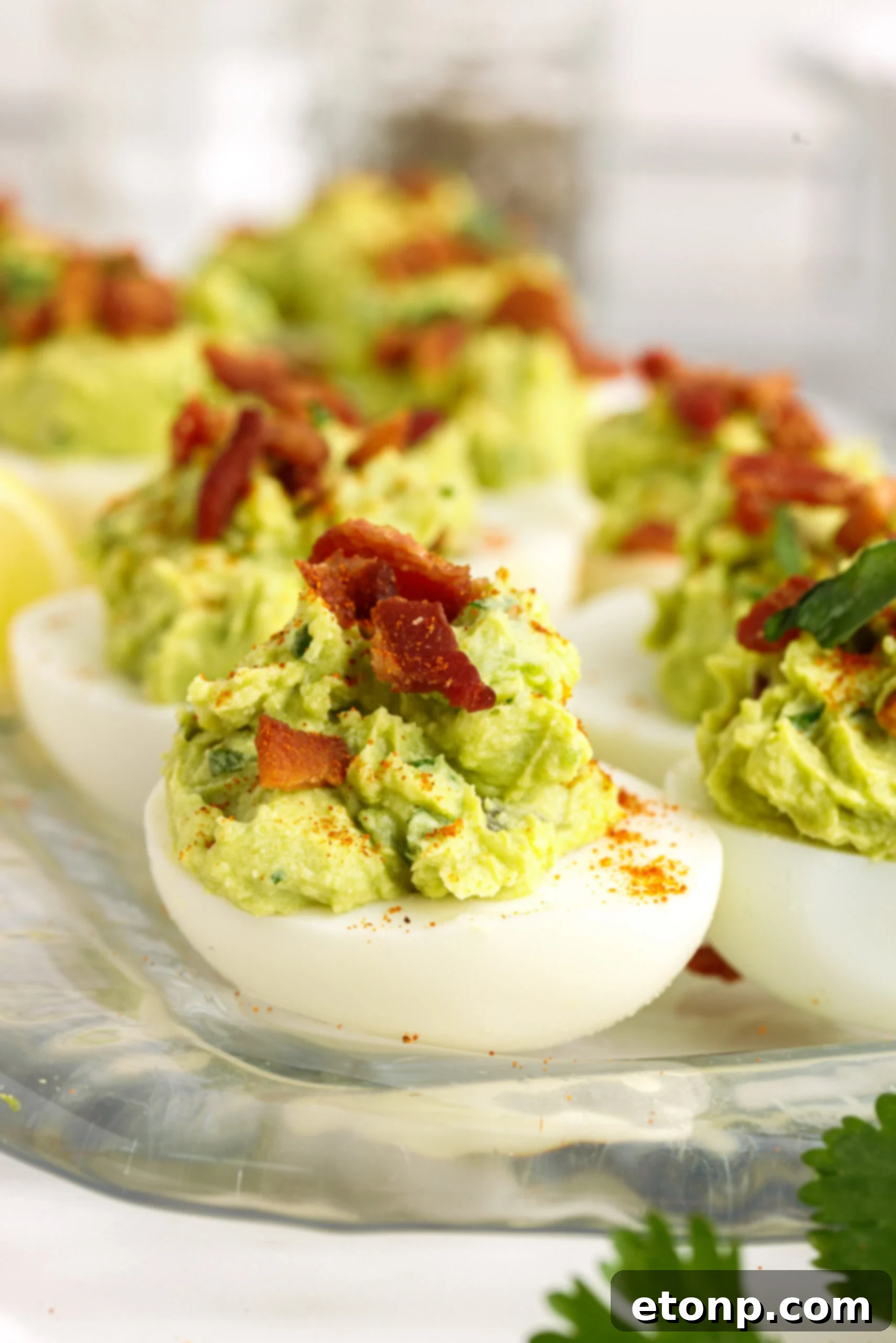 Side view of Avocado Deviled Eggs topped with chopped bacon. 