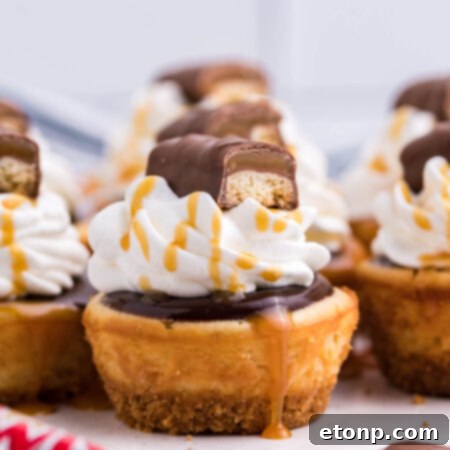 Mini Twix Cheesecakes