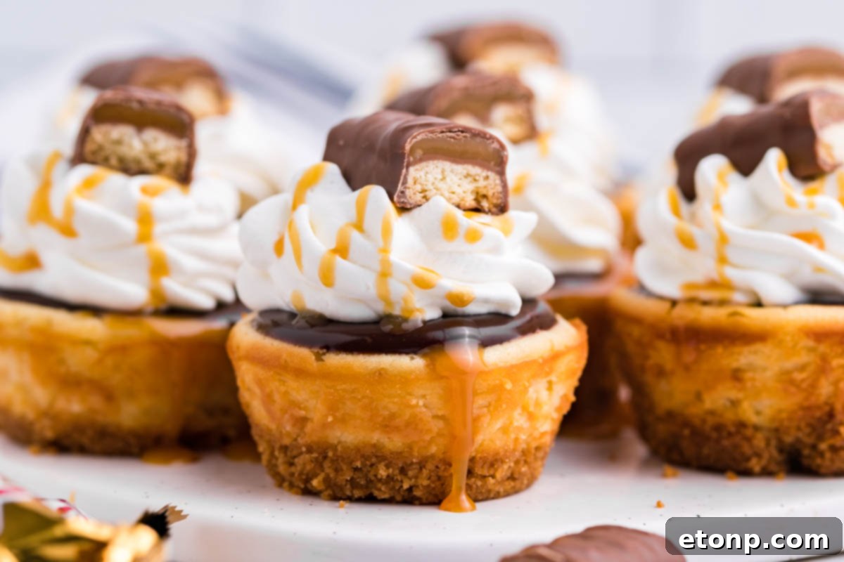 Decadent Mini Twix Cheesecakes 6 Side view of a Mini Twix Cheesecake topped with whipped cream, caramel drizzle, and Twix candy.