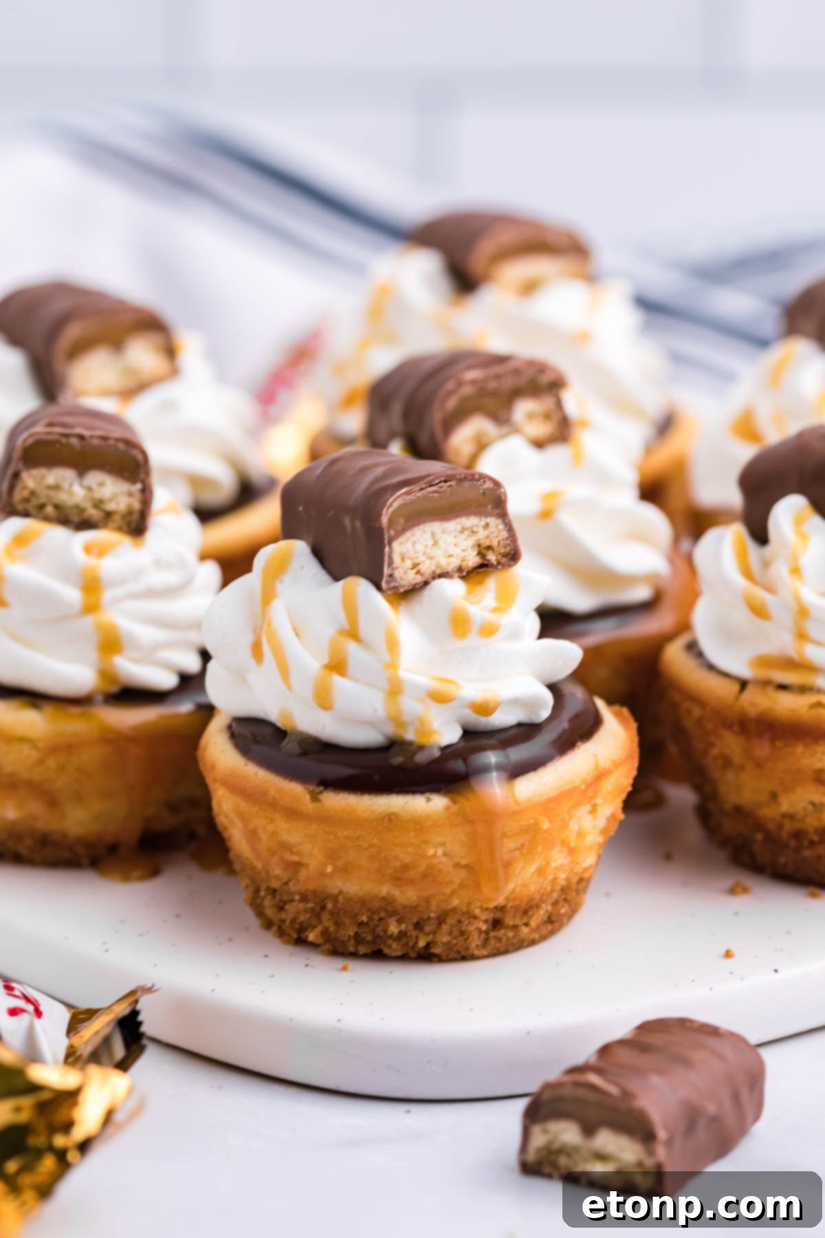 Decadent Mini Twix Cheesecakes 9 Mini Twix Cheesecakes close up shot