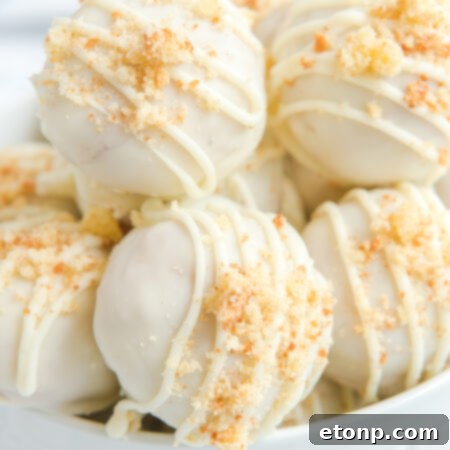 Snickerdoodle Truffles - final product