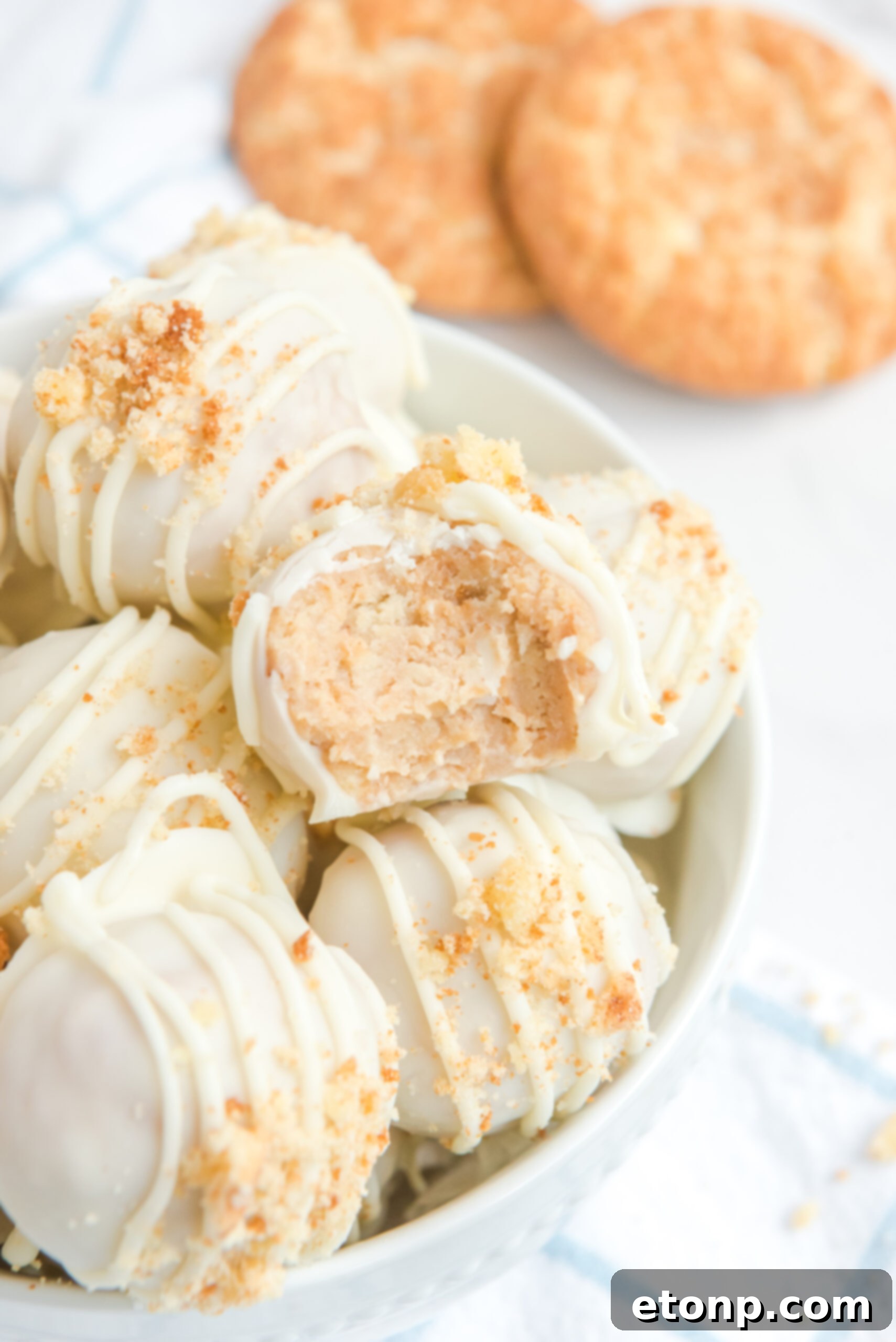 Close up of the crushed snickerdoodle topping on the truffles. One with a bite missing