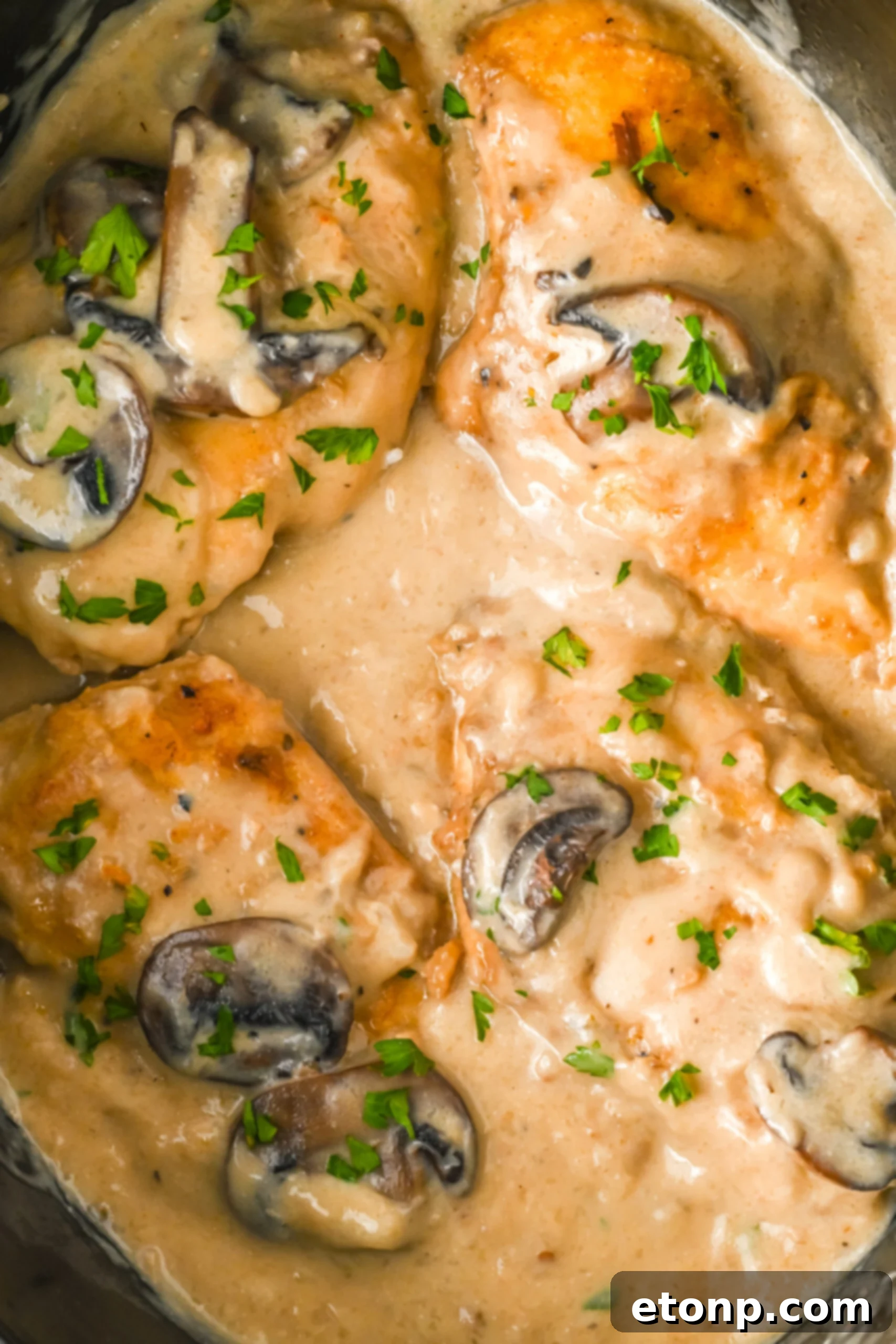 Close up shot of slow cooker chicken marsala topped with fresh parsley. 