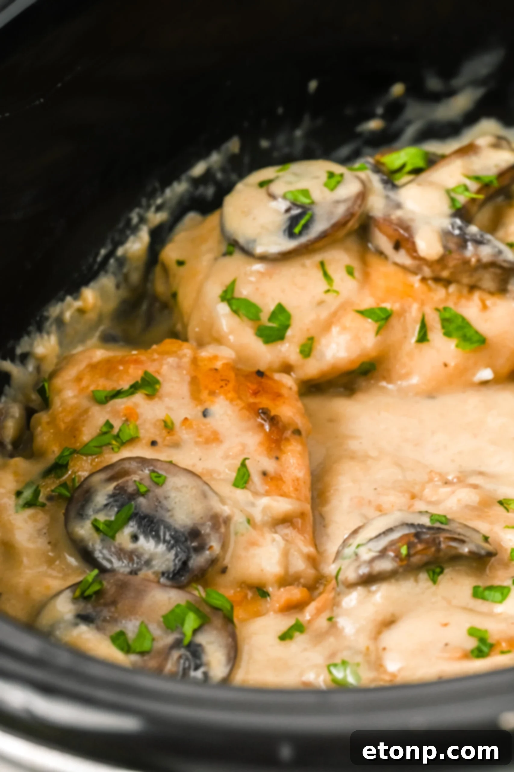 Close up shot of slow cooker chicken marsala topped with fresh parsley. 