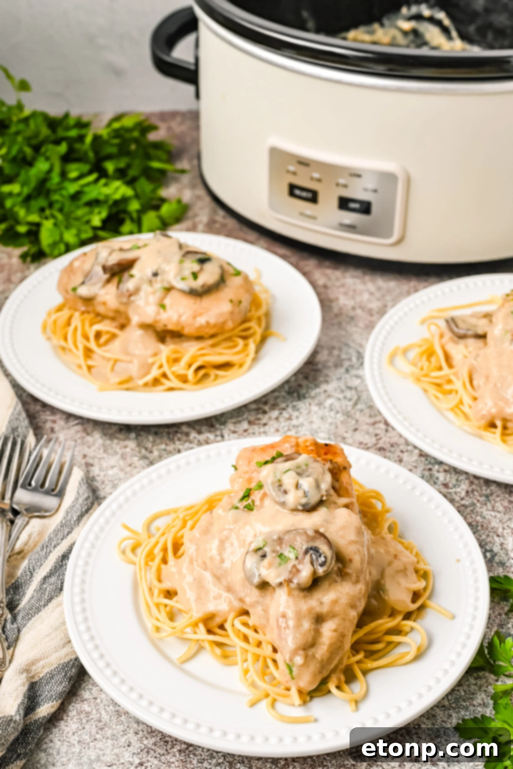 Plated Chicken Marsala on top of spaghetti noodles. 