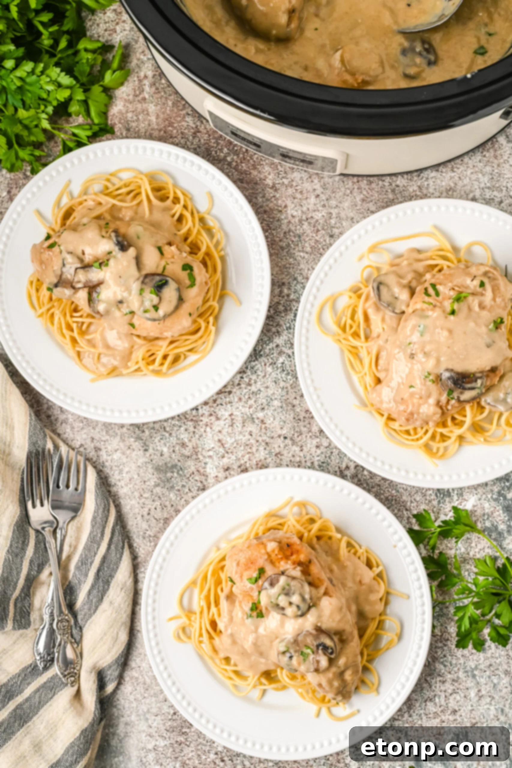 Plated Chicken Marsala on top of spaghetti noodles. 