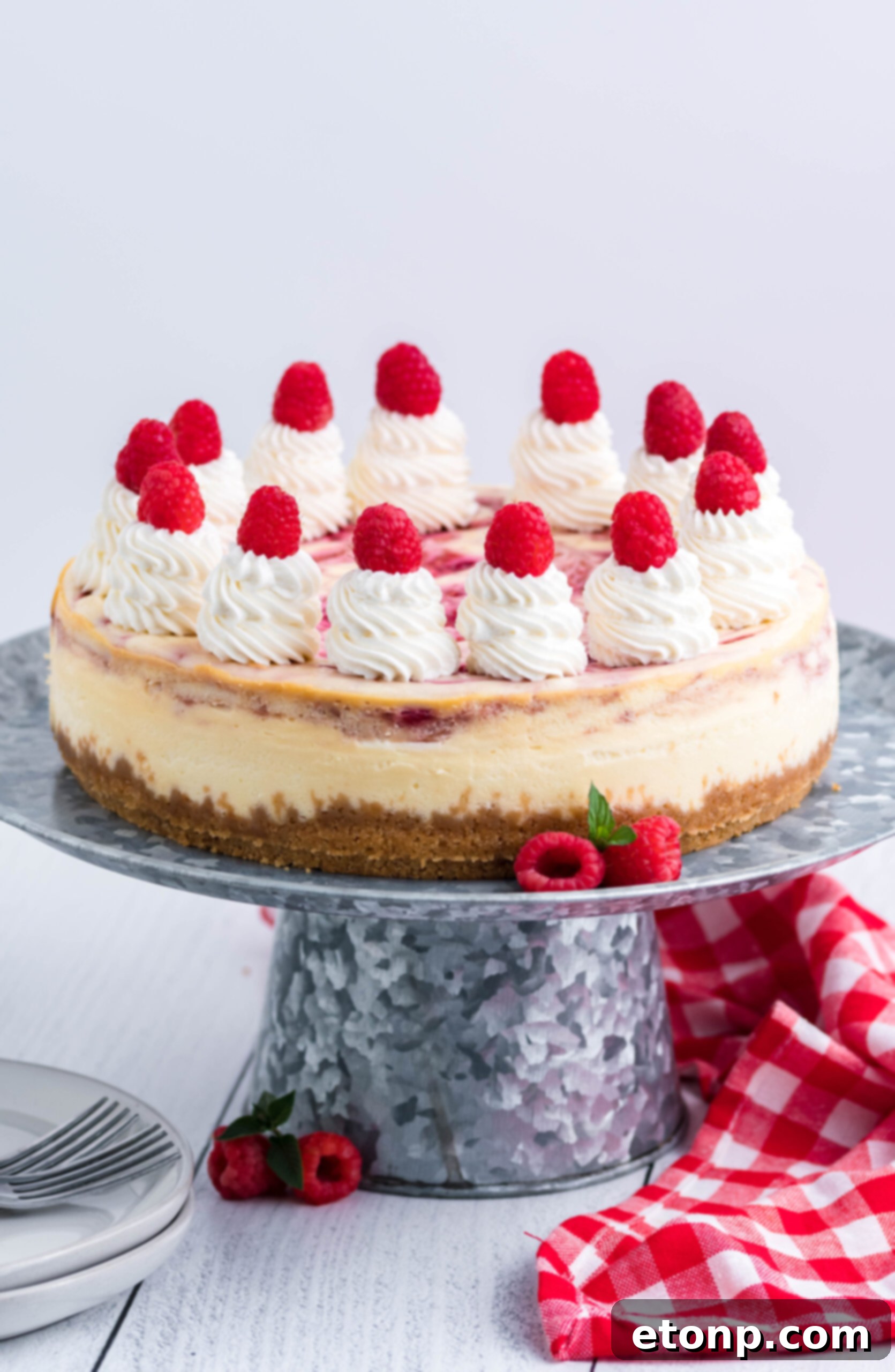 Side view of Raspberry Swirl Cheesecake on a galvanized cake stand.