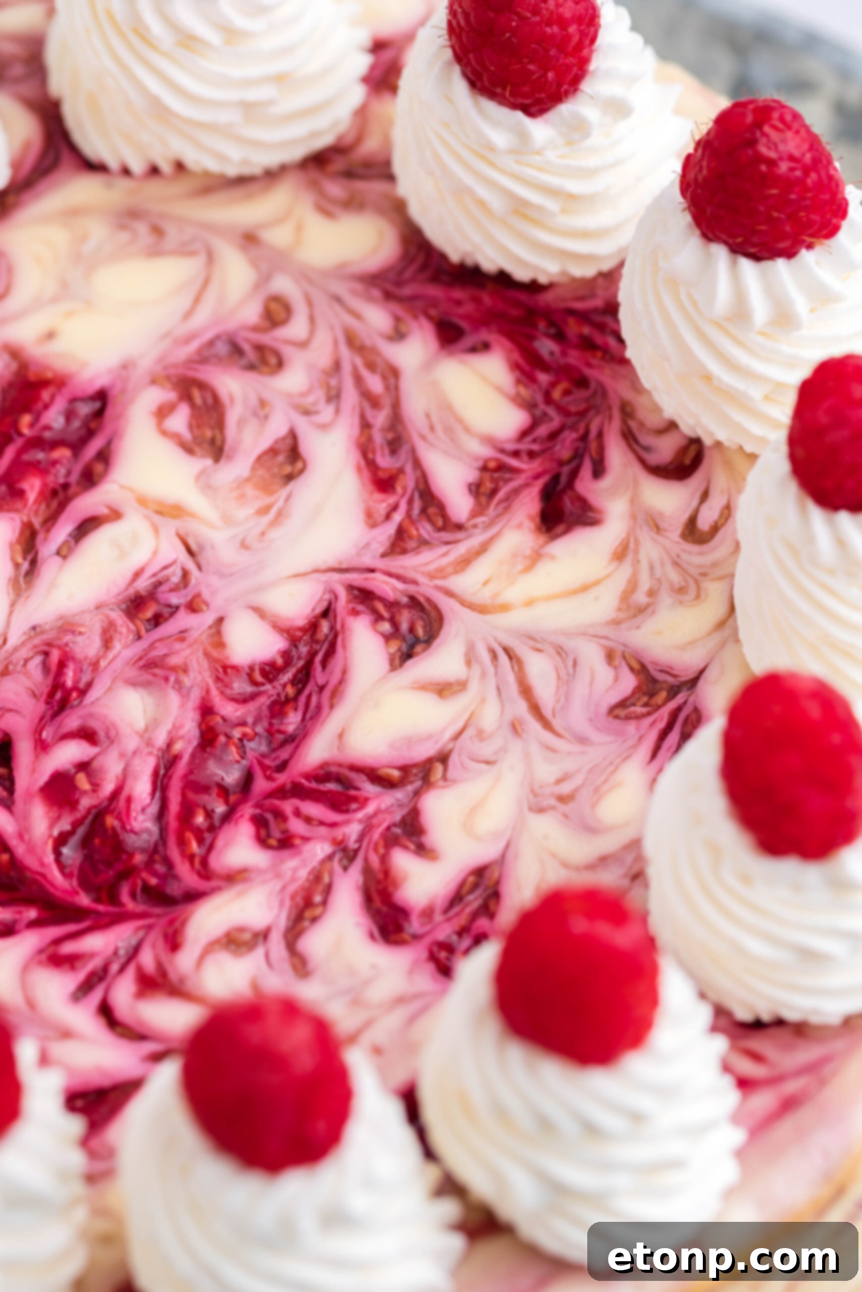 Close up view of Raspberry Swirl Cheesecake.