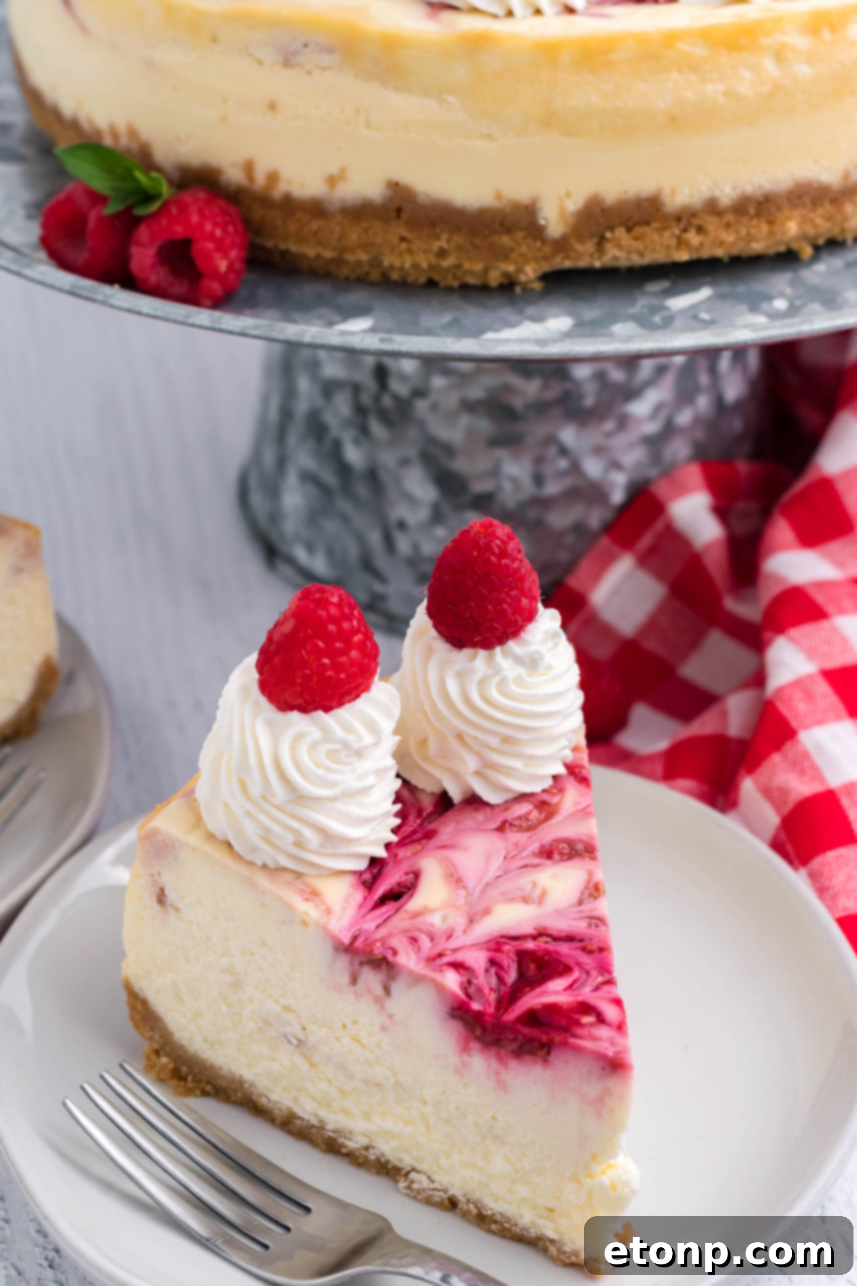 Raspberry Swirl Cheesecake slice on a white dish.