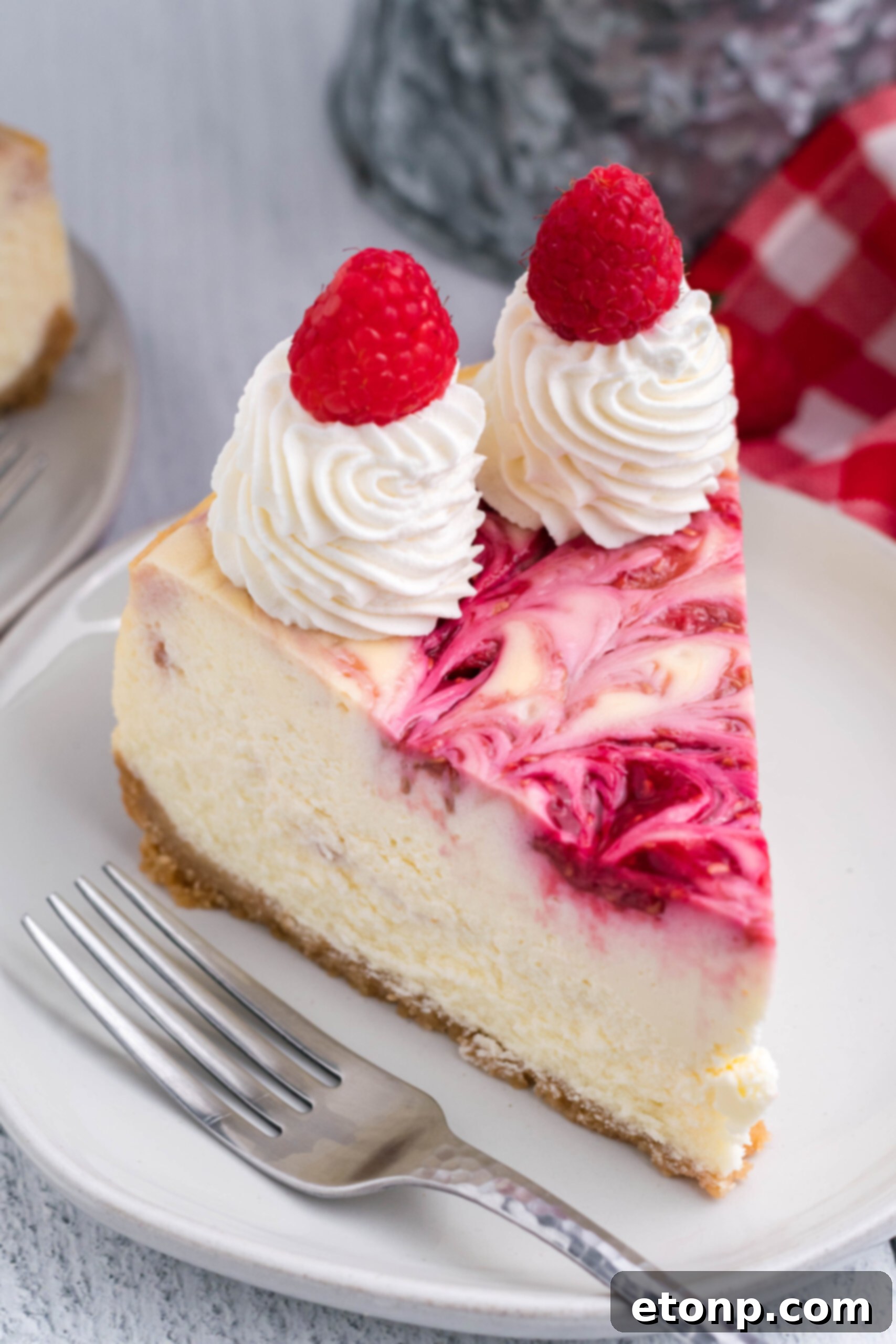Raspberry Swirl Cheesecake slice on a white dish.