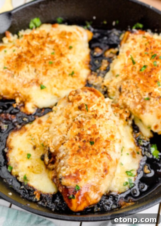 Crispy Parmesan Chicken 3 Close-up of crispy Parmesan crusted chicken in a cast iron skillet, ready to be served.