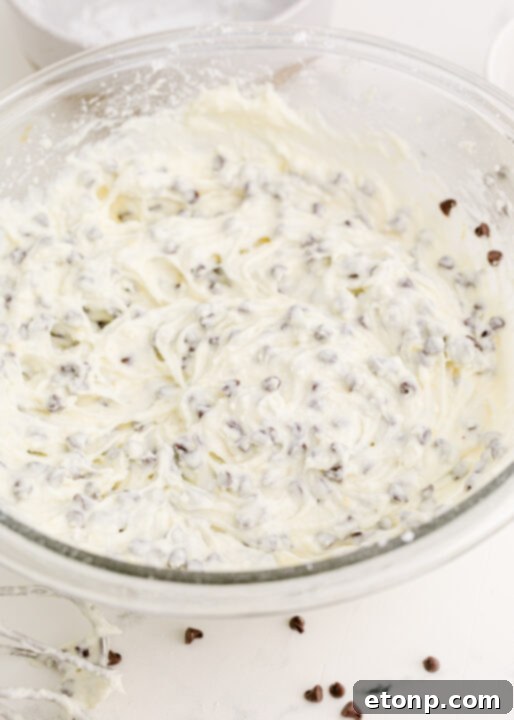 A close up of the Cannoli Dip ready to be served.