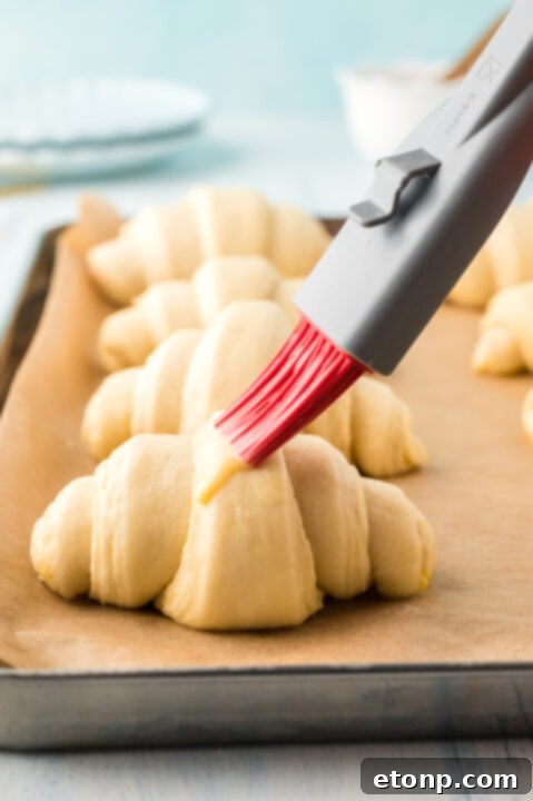 Proofed croissants ready for baking
