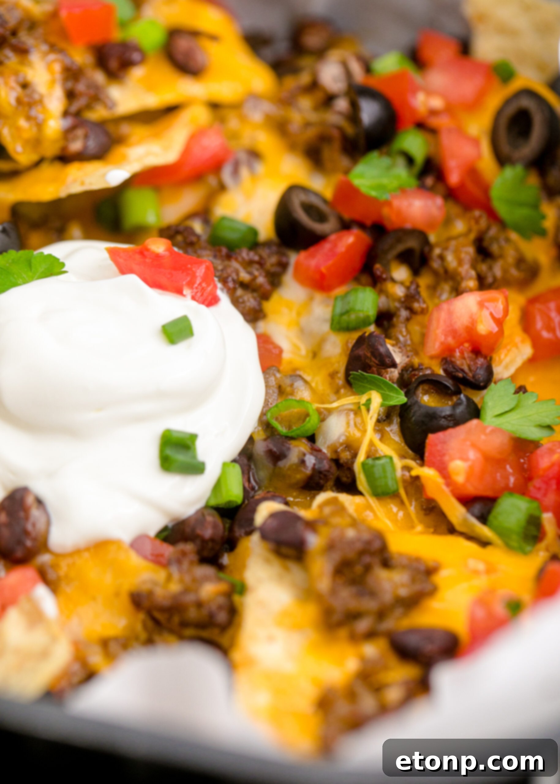 Up close view of Air Fryer Nachos.