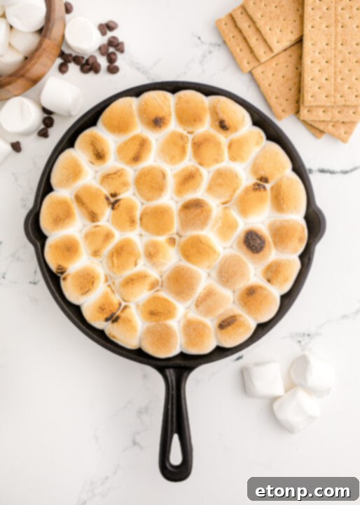 A close-up side view of the S’mores Dip, capturing the depth of the chocolate layer beneath the perfectly toasted marshmallow crust.