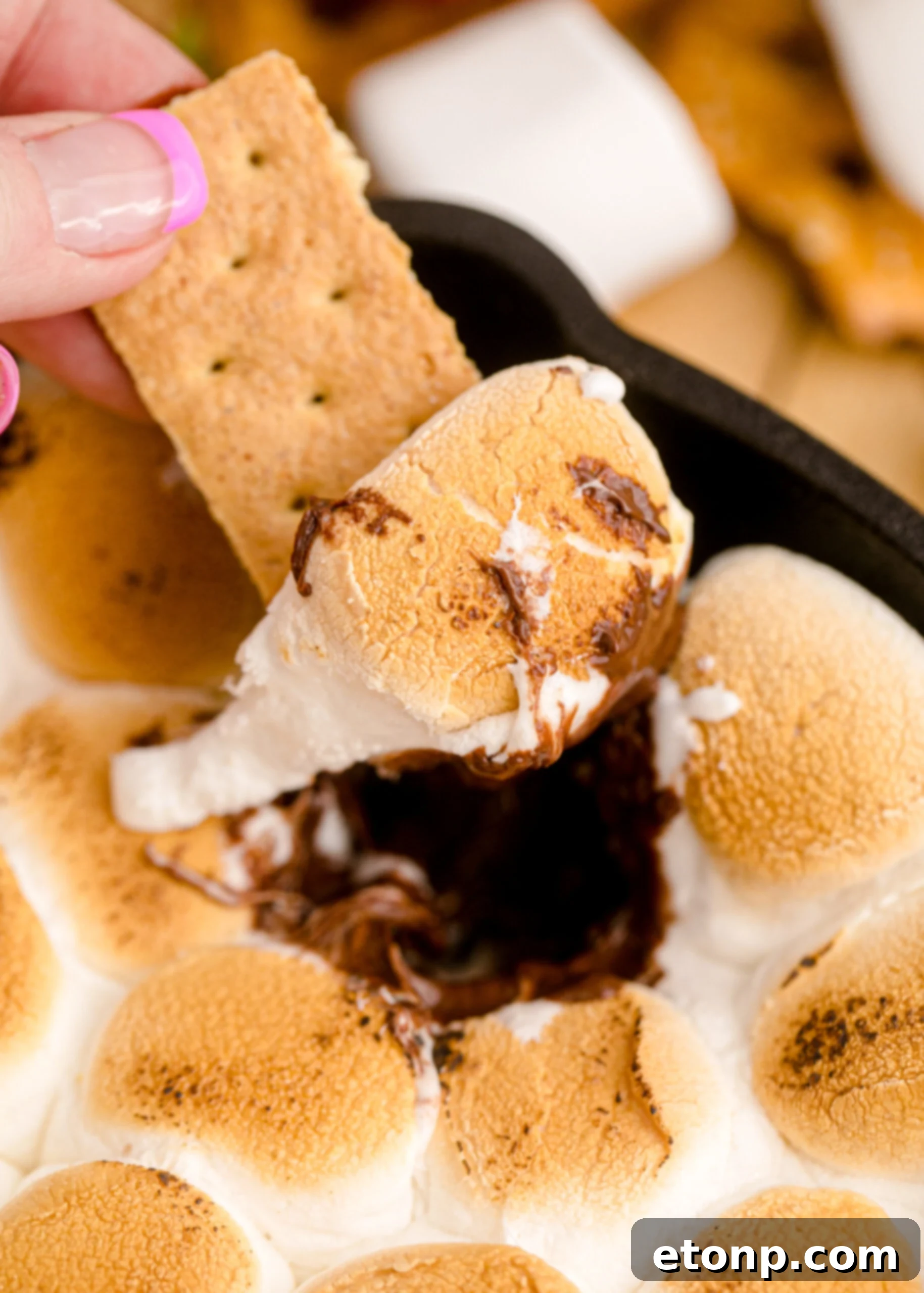 A close-up of a S'mores Dip in a cast iron skillet, with a graham cracker covered in the warm, melted dip being held up, ready to eat.