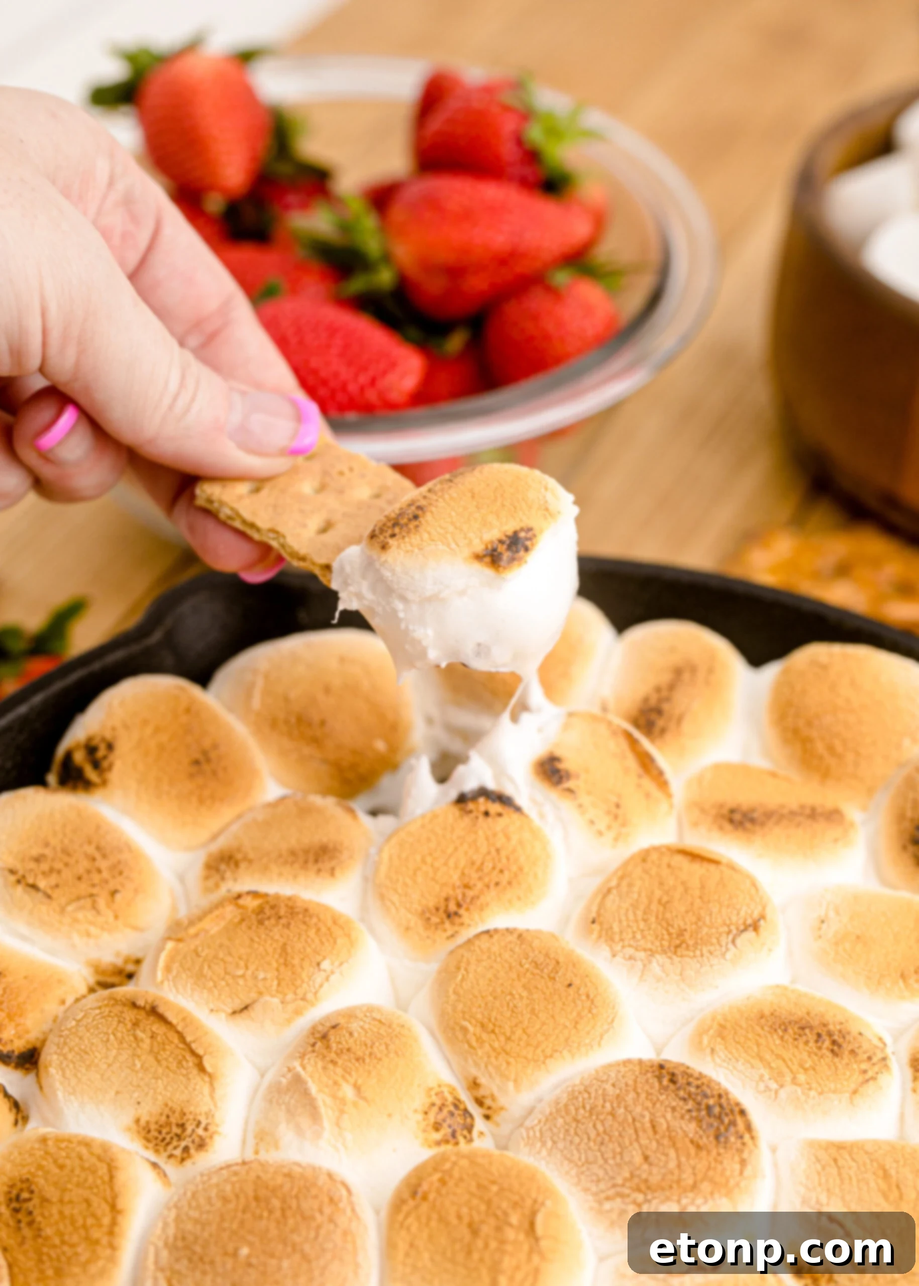 A close-up shot of S'mores Dip in a cast iron skillet, with a single graham cracker expertly dipped into the rich, melted goodness, emphasizing its creamy texture.