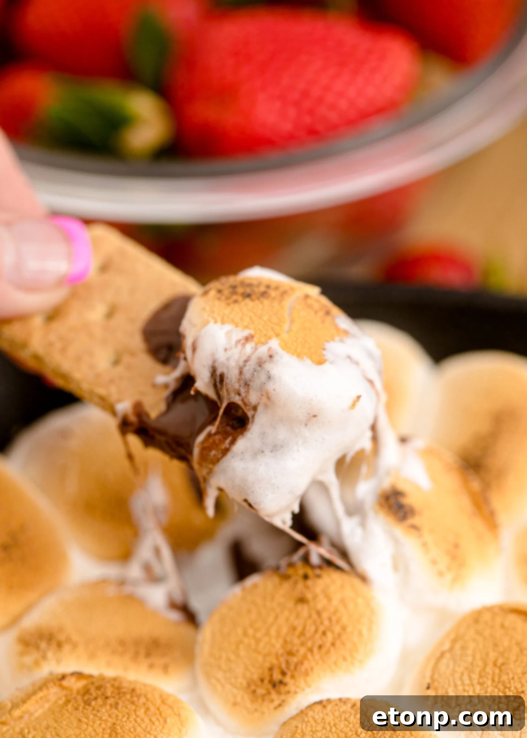 A mouth-watering close-up of S'mores Dip in a cast iron skillet, featuring a graham cracker perfectly coated in the warm chocolate and marshmallow mixture.