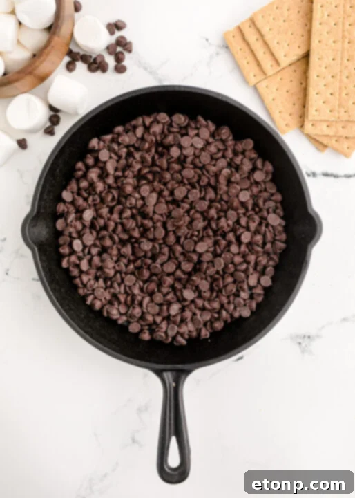 A vibrant close-up of the S’mores Dip, showing the gooey texture of melted chocolate and toasted marshmallows, inviting you to take a bite.