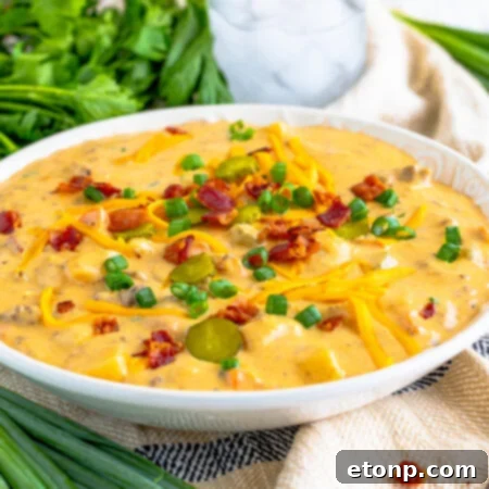 Bacon Cheeseburger Bliss in a Bowl 17 Cheeseburger bacon soup in a white bowl topped with bacon, cheese, and green onion.