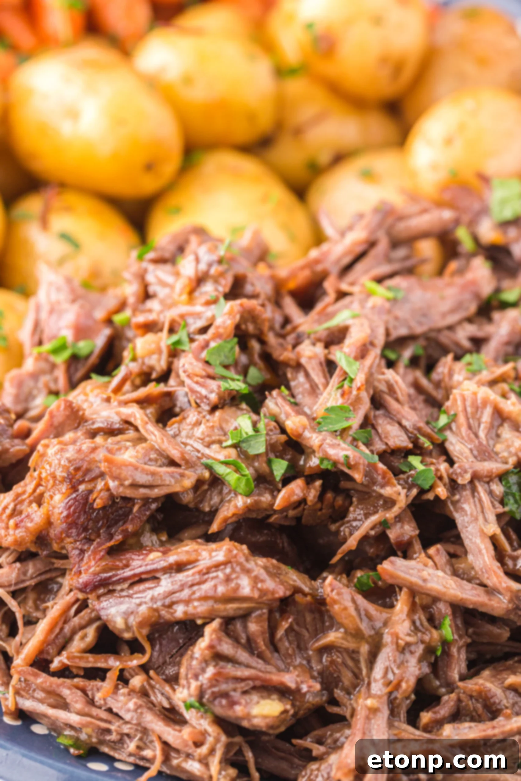 Close up of the Roast topped with fresh parsley. 