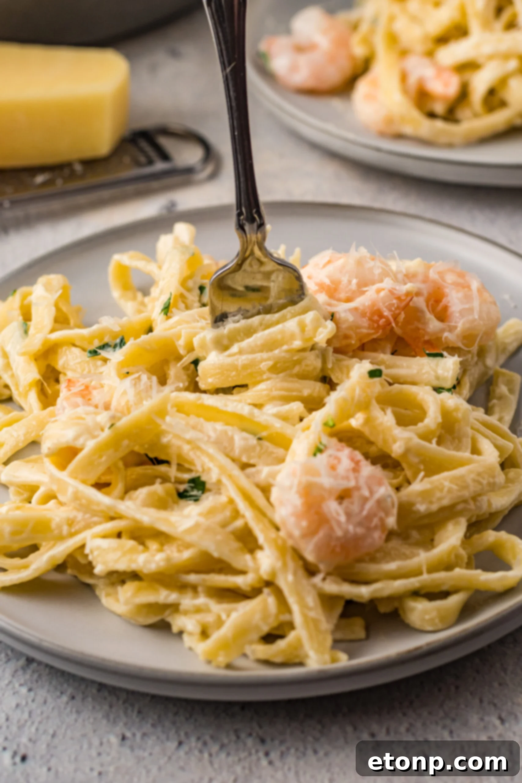 Front view of Shrimp Alfredo being swirled around a silver fork.