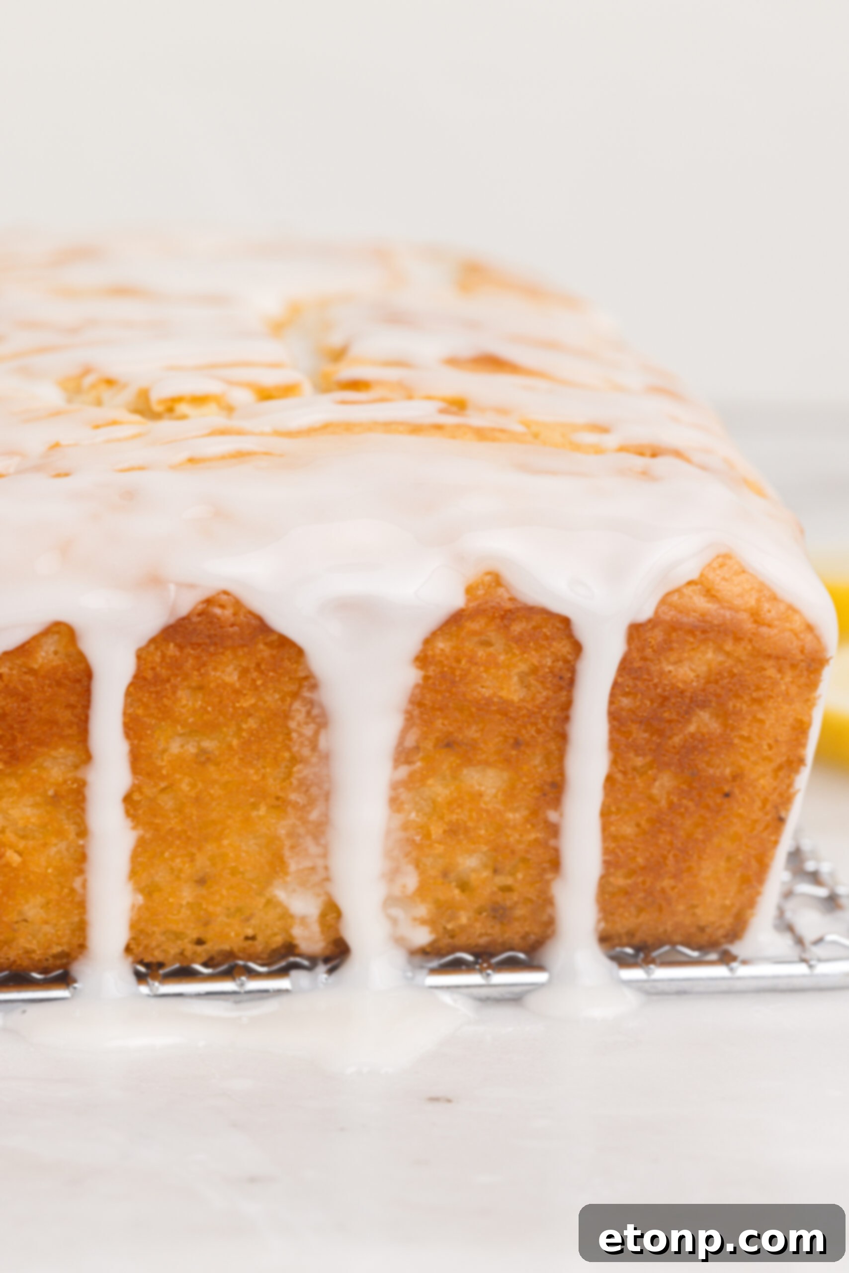 Front view of Lemon Bread on a wire rack.