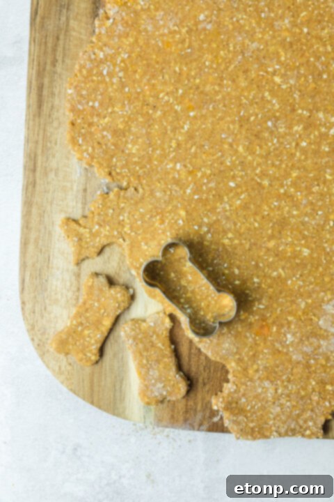 A hand using a bone-shaped cookie cutter to press out individual Sweet Potato and Pumpkin Dog Treats from the rolled dough.
