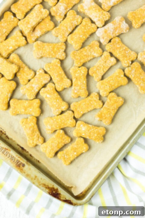 Several raw Sweet Potato and Pumpkin Dog Treats neatly arranged on a parchment paper-lined baking sheet, prepared for the oven.