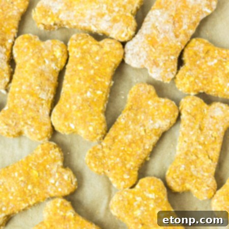Finished Sweet Potato and Pumpkin Dog Treats.